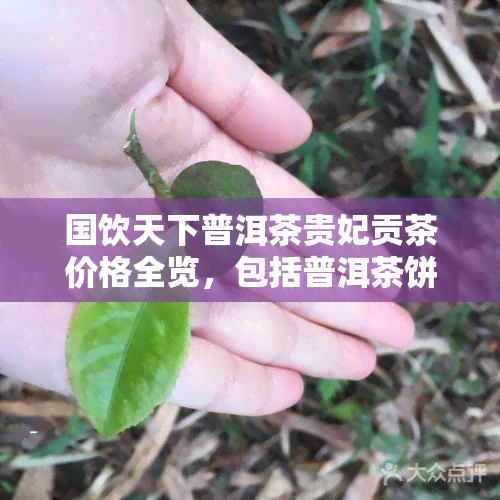 国饮天下普洱茶贵妃贡茶价格全览，包括普洱茶饼、红茶和酒的价格表，以及铁观音的具体售价