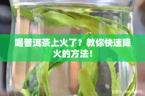 喝普洱茶上火了？教你快速降火的方法！