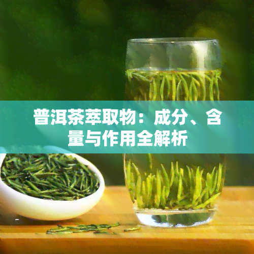 普洱茶萃取物：成分、含量与作用全解析