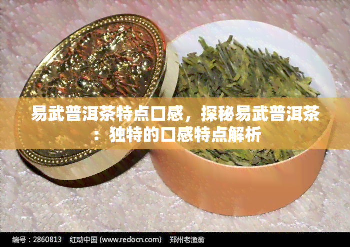 易武普洱茶特点口感，探秘易武普洱茶：独特的口感特点解析