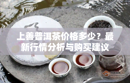 上善普洱茶价格多少？最新行情分析与购买建议