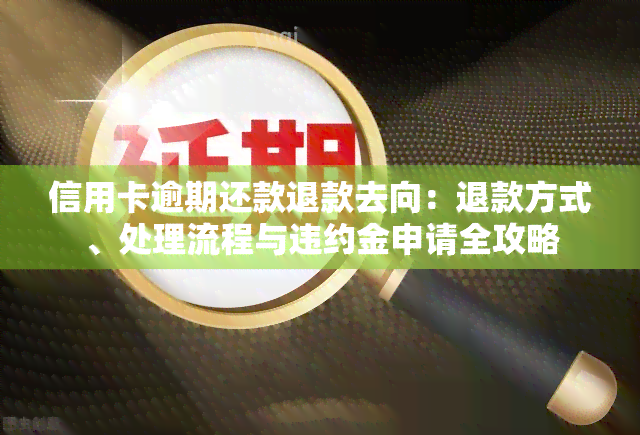 信用卡逾期还款退款去向：退款方式、处理流程与违约金申请全攻略