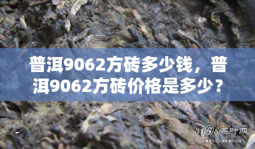 普洱9062方砖多少钱，普洱9062方砖价格是多少？查询最新市场价！