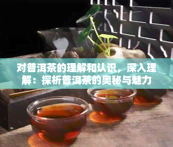 对普洱茶的理解和认识，深入理解：探析普洱茶的奥秘与魅力