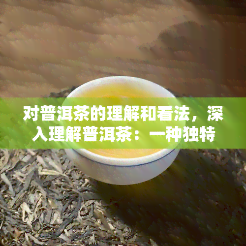 对普洱茶的理解和看法，深入理解普洱茶：一种独特的茶叶文化与品尝体验