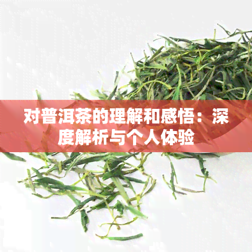 对普洱茶的理解和感悟：深度解析与个人体验