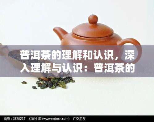 普洱茶的理解和认识，深入理解与认识：普洱茶的世界