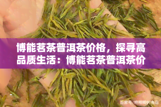 博能茗茶普洱茶价格，探寻高品质生活：博能茗茶普洱茶价格全解析