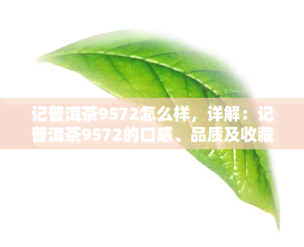 记普洱茶9572怎么样，详解：记普洱茶9572的口感、品质及收藏价值