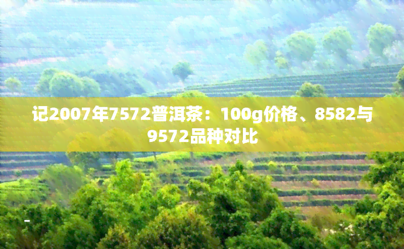 记2007年7572普洱茶：100g价格、8582与9572品种对比