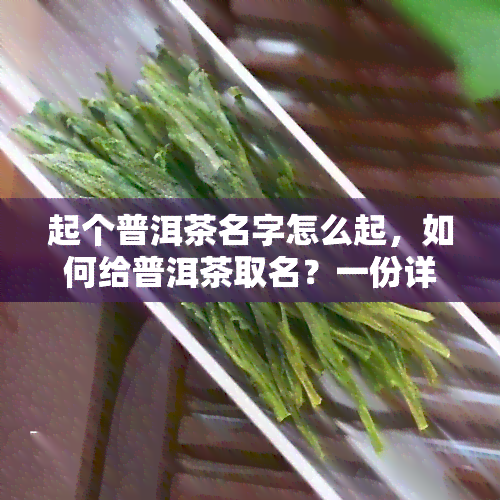 起个普洱茶名字怎么起，如何给普洱茶取名？一份详细的命名指南