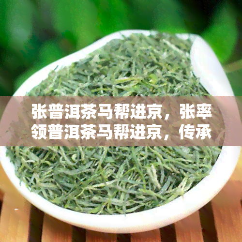 张普洱茶马帮进京，张率领普洱茶马帮进京，传承千年茶文化