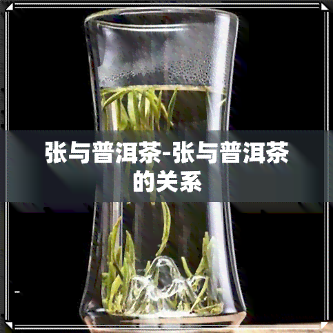 张与普洱茶-张与普洱茶的关系