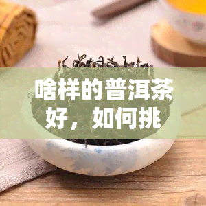 啥样的普洱茶好，如何挑选好的普洱茶？看这篇就够了！