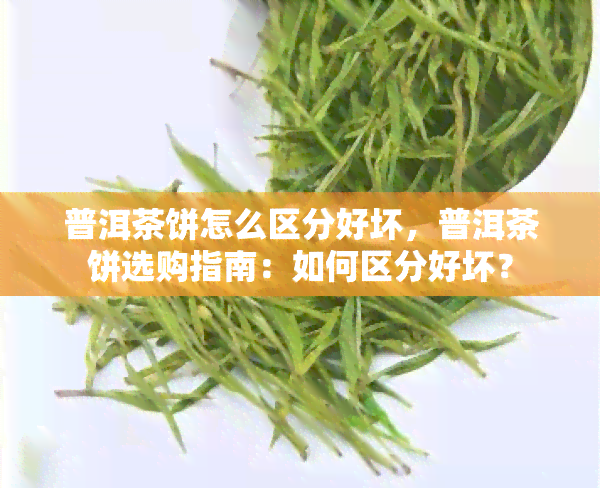 普洱茶饼怎么区分好坏，普洱茶饼选购指南：如何区分好坏？