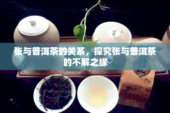 张与普洱茶的关系，探究张与普洱茶的不解之缘