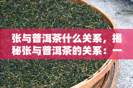 张与普洱茶什么关系，揭秘张与普洱茶的关系：一不解之缘的背后故事