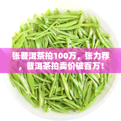 张普洱茶拍100万，张力荐，普洱茶拍卖价破百万！