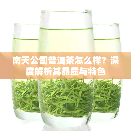 南天公司普洱茶怎么样？深度解析其品质与特色