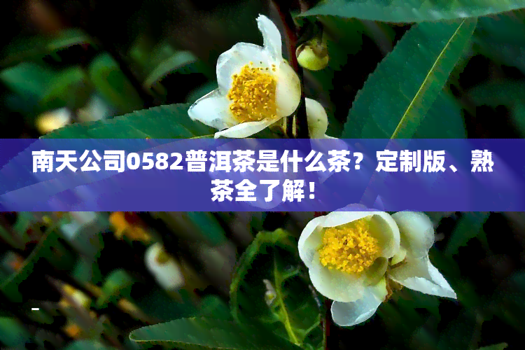 南天公司0582普洱茶是什么茶？定制版、熟茶全了解！