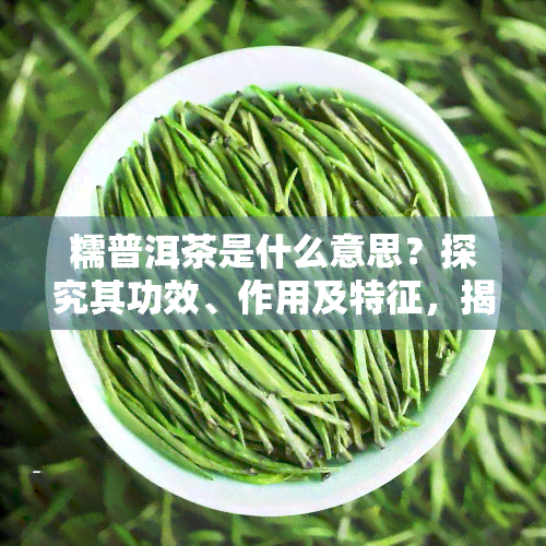 糯普洱茶是什么意思？探究其功效、作用及特征，揭秘糯香普洱茶的由来