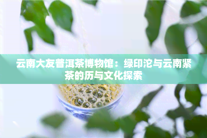 云南大友普洱茶博物馆：绿印沱与云南紧茶的历与文化探索