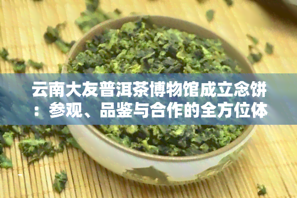 云南大友普洱茶博物馆成立念饼：参观、品鉴与合作的全方位体验