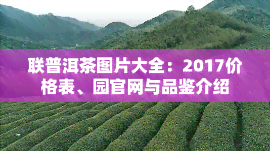 联普洱茶图片大全：2017价格表、园官网与品鉴介绍