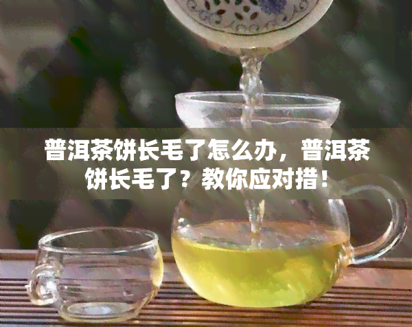 普洱茶饼长毛了怎么办，普洱茶饼长毛了？教你应对措！