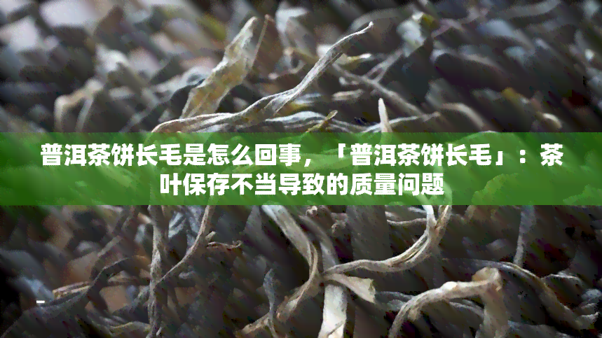 普洱茶饼长毛是怎么回事，「普洱茶饼长毛」：茶叶保存不当导致的质量问题