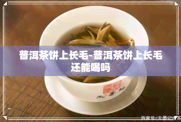 普洱茶饼上长毛-普洱茶饼上长毛还能喝吗