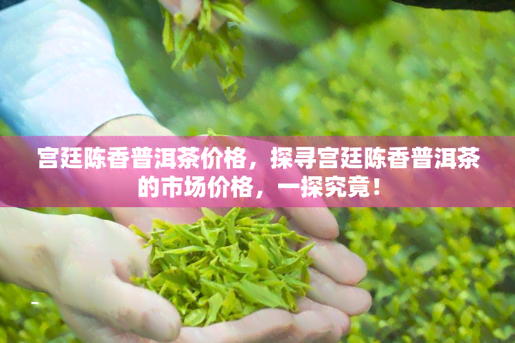 宫廷陈香普洱茶价格，探寻宫廷陈香普洱茶的市场价格，一探究竟！