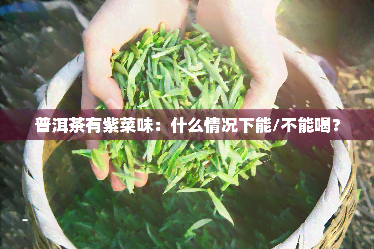 普洱茶有紫菜味：什么情况下能/不能喝？