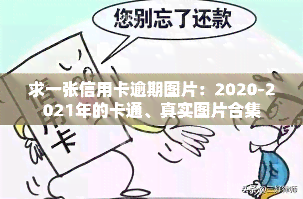 求一张信用卡逾期图片：2020-2021年的卡通、真实图片合集