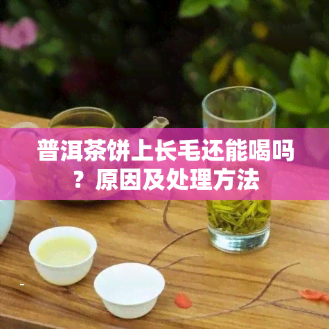 普洱茶饼上长毛还能喝吗？原因及处理方法