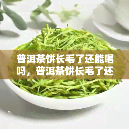 普洱茶饼长毛了还能喝吗，普洱茶饼长毛了还能喝吗？专家为你解答