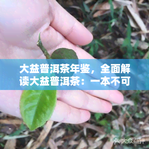 大益普洱茶年鉴，全面解读大益普洱茶：一本不可错过的年鉴指南