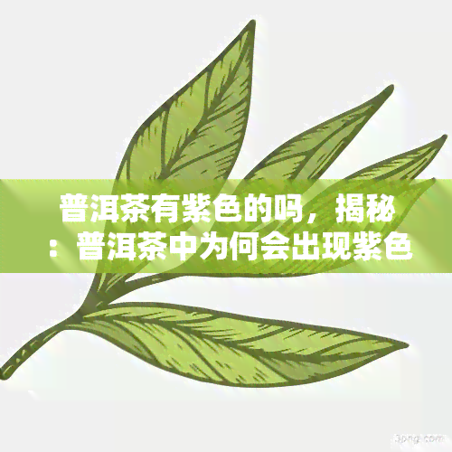 普洱茶有紫色的吗，揭秘：普洱茶中为何会出现紫色？