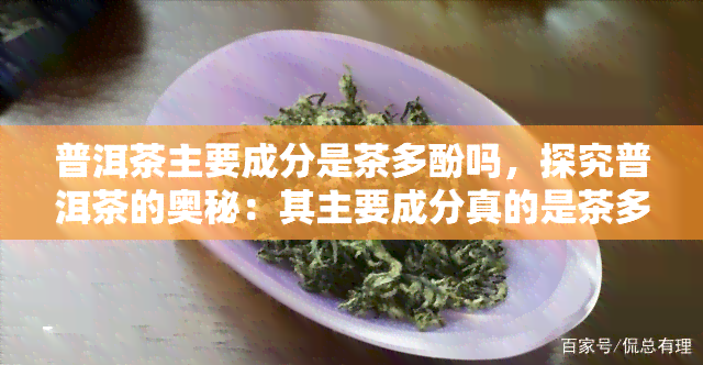 普洱茶主要成分是茶多酚吗，探究普洱茶的奥秘：其主要成分真的是茶多酚吗？