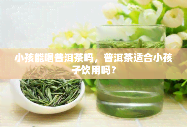 小孩能喝普洱茶吗，普洱茶适合小孩子饮用吗？