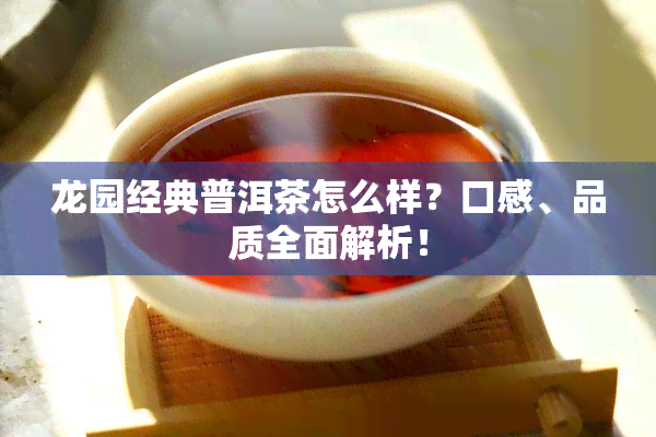 龙园经典普洱茶怎么样？口感、品质全面解析！