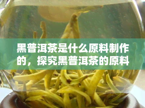 黑普洱茶是什么原料制作的，探究黑普洱茶的原料来源：揭开其神秘面纱