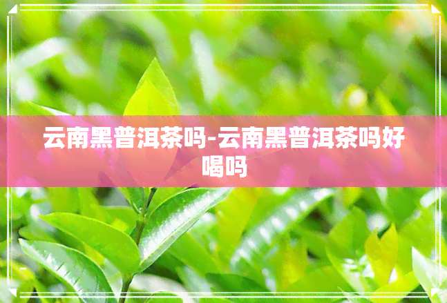 云南黑普洱茶吗-云南黑普洱茶吗好喝吗