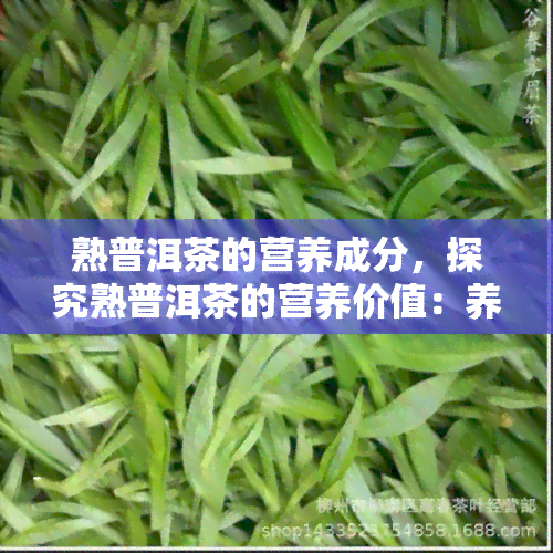 熟普洱茶的营养成分，探究熟普洱茶的营养价值：养生必备的好选择