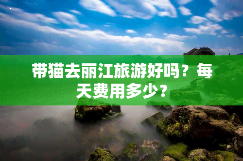 带猫去丽江旅游好吗？每天费用多少？