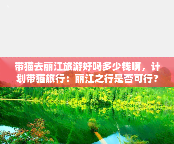 带猫去丽江旅游好吗多少钱啊，计划带猫旅行：丽江之行是否可行？费用预估