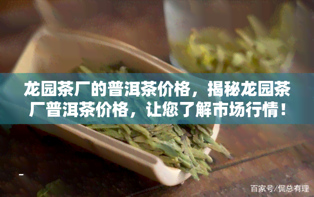 龙园茶厂的普洱茶价格，揭秘龙园茶厂普洱茶价格，让您了解市场行情！