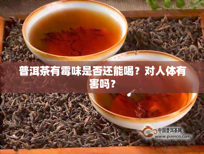 普洱茶有霉味是否还能喝？对人体有害吗？