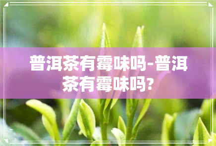 普洱茶有霉味吗-普洱茶有霉味吗?