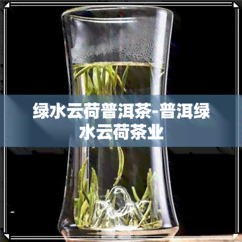 绿水云荷普洱茶-普洱绿水云荷茶业